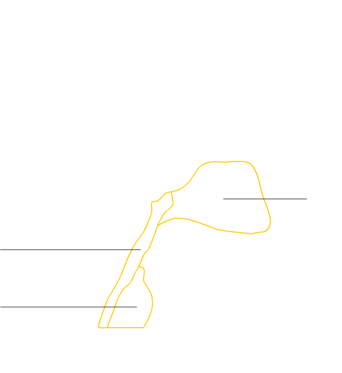 outline