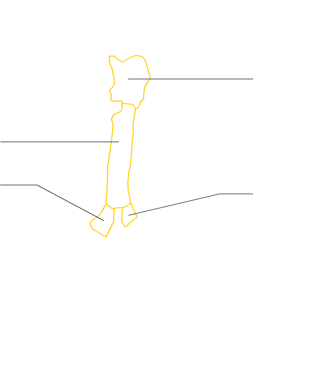 outline
