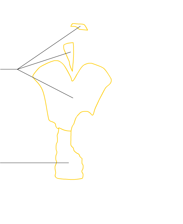 outline
