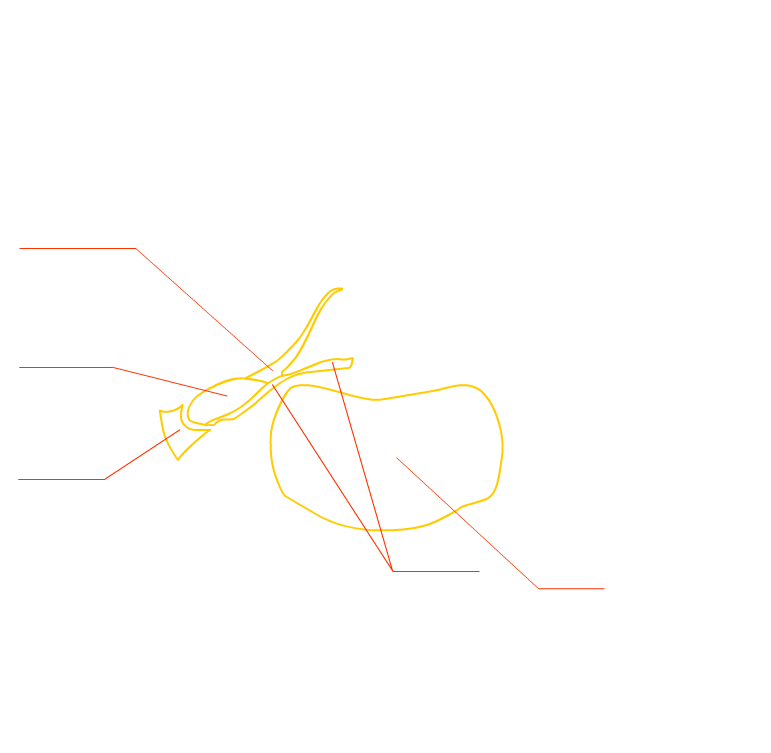 outline